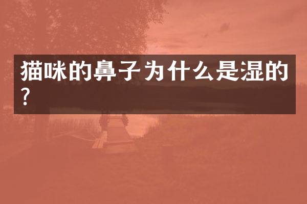 猫咪的鼻子为什么是湿的？