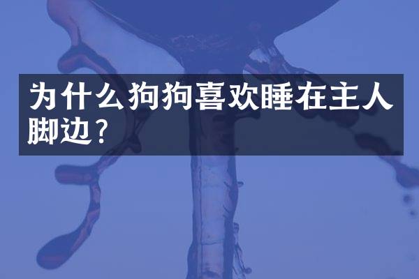 为什么狗狗喜欢睡在主人脚边？