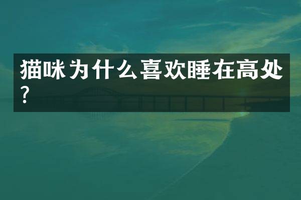 猫咪为什么喜欢睡在高处？