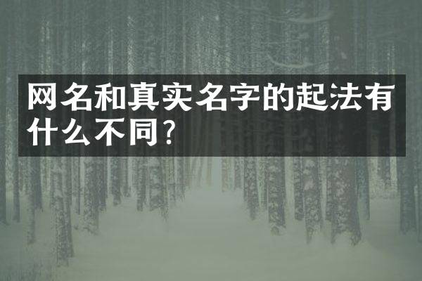网名和真实名字的起法有什么不同？