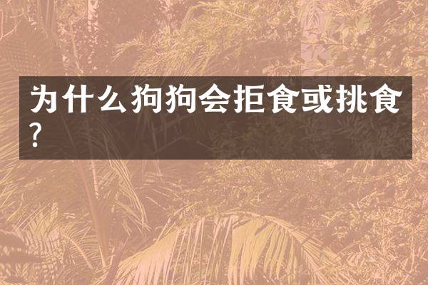 为什么狗狗会拒食或挑食？