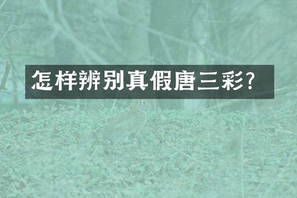 怎样辨别真假唐三彩？