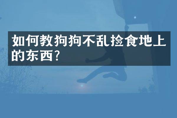 如何教狗狗不乱捡食地上的东西？