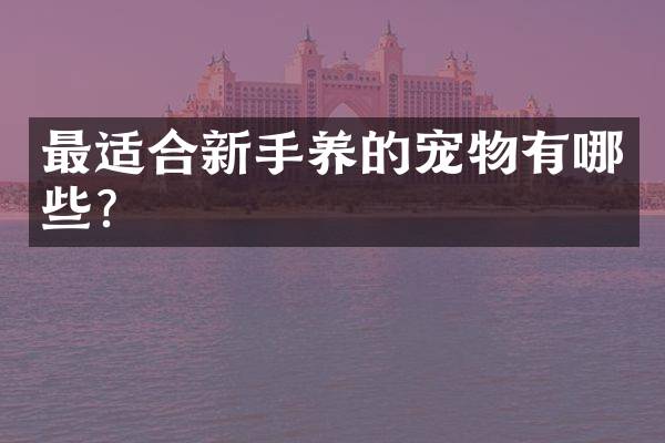 最适合新手养的宠物有哪些？