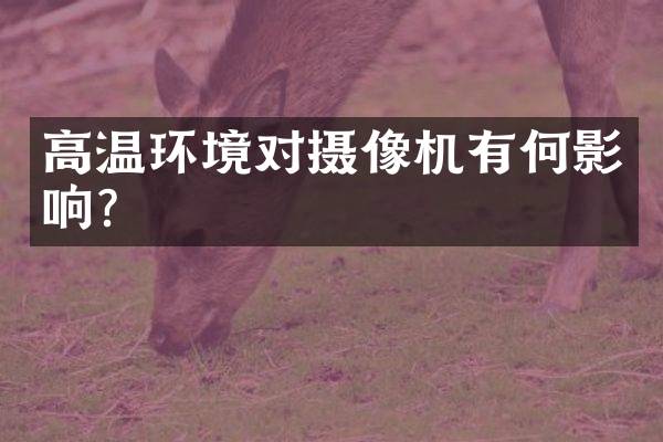 高温环境对摄像机有何影响？
