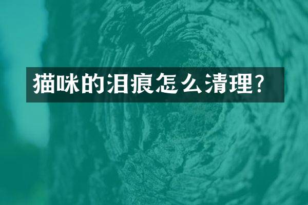 猫咪的泪痕怎么清理？