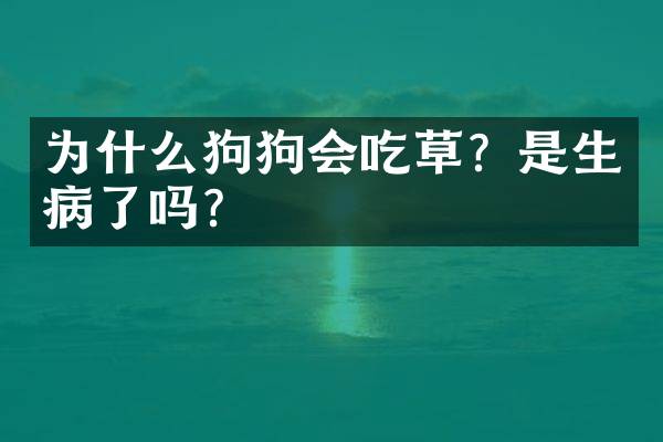 为什么狗狗会吃草？是生病了吗？