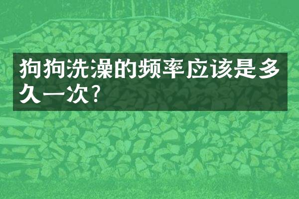 狗狗洗澡的频率应该是多久一次？