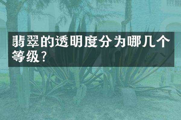 翡翠的透明度分为哪几个等级？