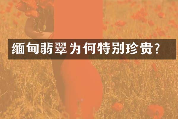 缅甸翡翠为何特别珍贵？