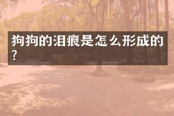 狗狗的泪痕是怎么形成的？