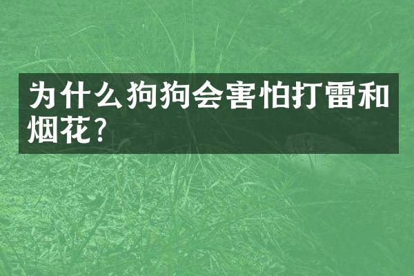 为什么狗狗会害怕打雷和？