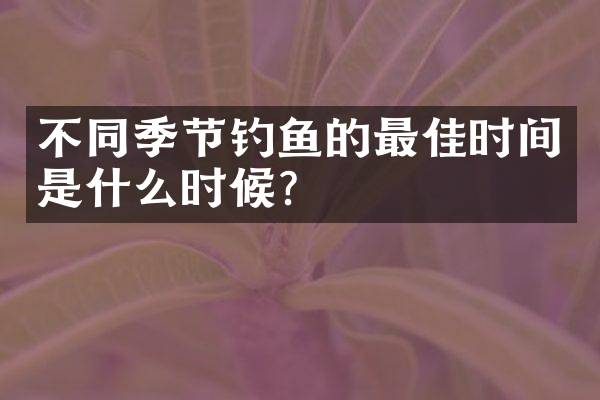 不同季节钓鱼的最佳时间是什么时候？