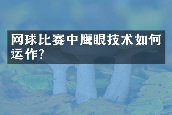 网球比赛中鹰眼技术如何运作？