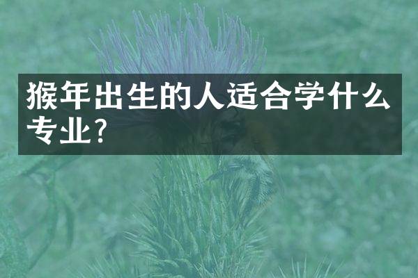 猴年出生的人适合学什么专业？