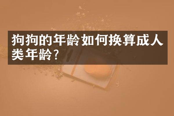 狗狗的年龄如何换算成人类年龄？