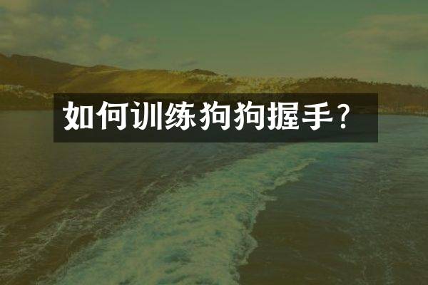 如何训练狗狗握手？