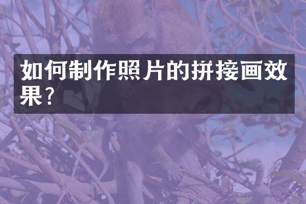 如何制作照片的拼接画效果？