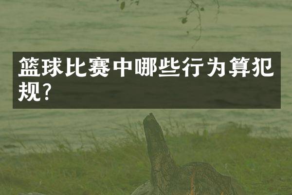 篮球比赛中哪些行为算犯规？