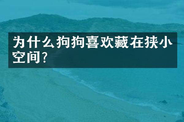 为什么狗狗喜欢藏在狭小空间？