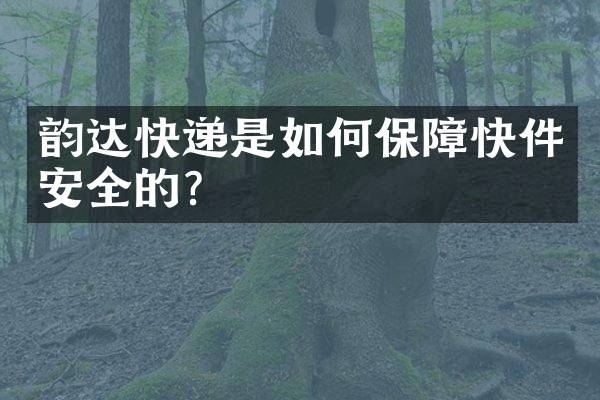 韵达快递是如何保障快件安全的？