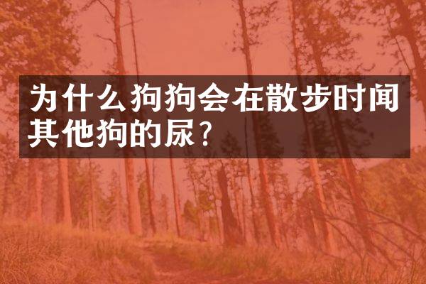 为什么狗狗会在散步时闻其他狗的尿？