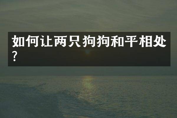 如何让两只狗狗和平相处？