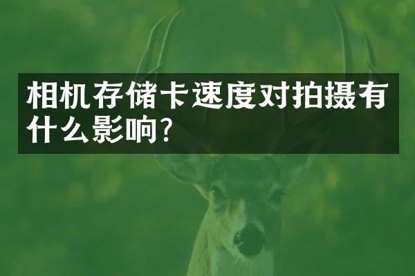 相机存储卡速度对拍摄有什么影响？