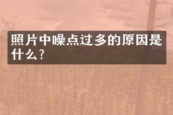 照片中噪点过多的原因是什么？