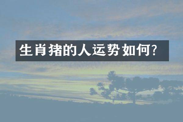 生肖猪的人运势如何？