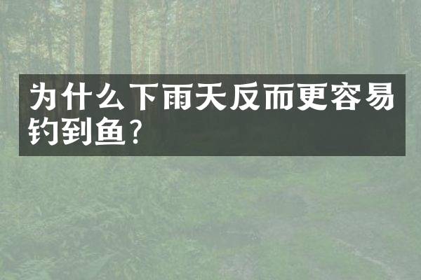 为什么下雨天反而更容易钓到鱼？