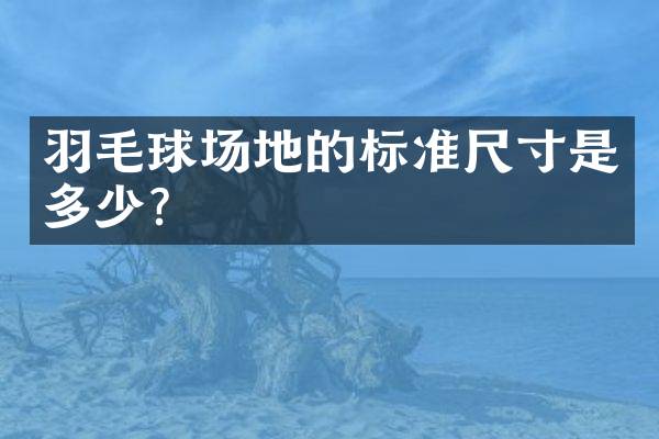 羽毛球场地的标准尺寸是多少？