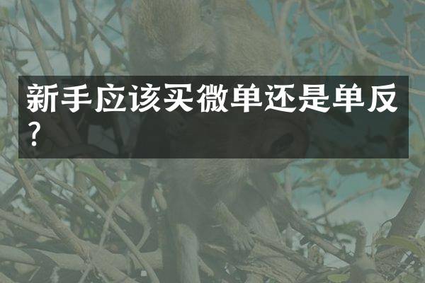 新手应该买微单还是单反？