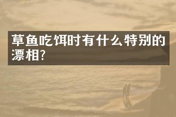 草鱼吃饵时有什么特别的漂相？