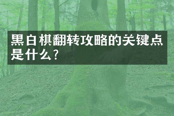 黑白棋翻转攻略的关键点是什么？