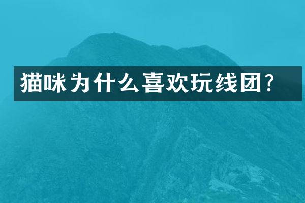 猫咪为什么喜欢玩线团?