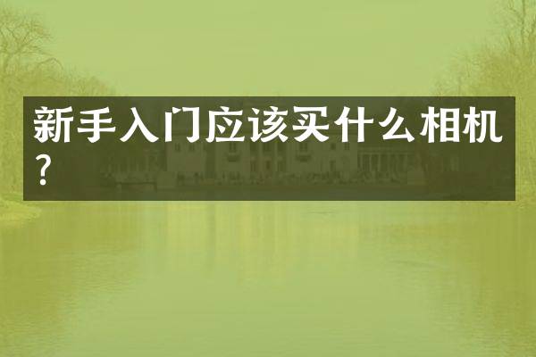 新手入门应该相机？