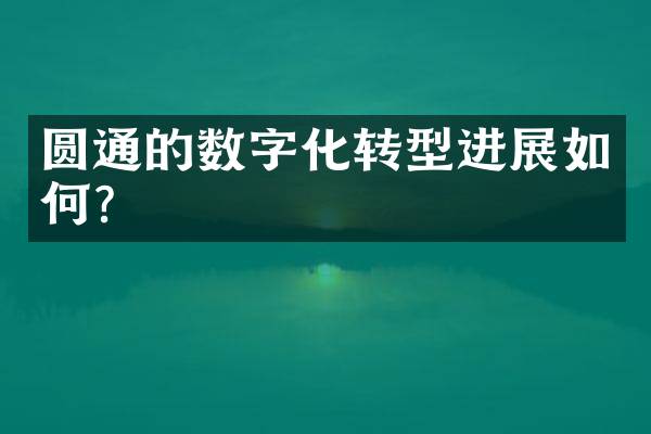 圆通的数字化转型进展如何?