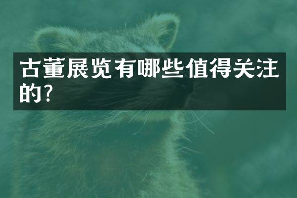 古董展览有哪些值得关注的？