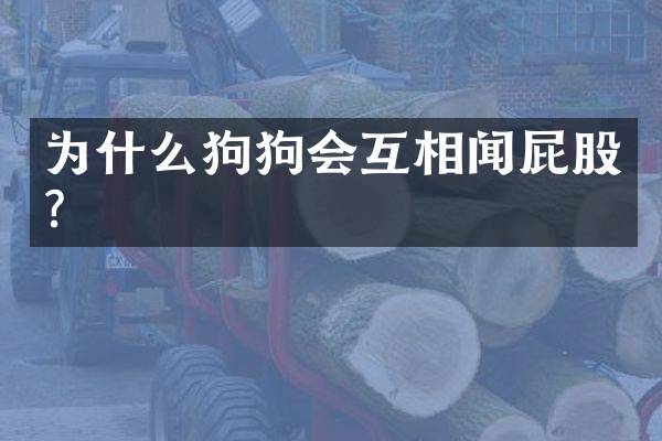 为什么狗狗会互相闻屁股？