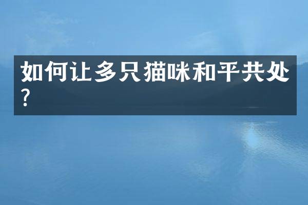如何让多只猫咪和平共处？
