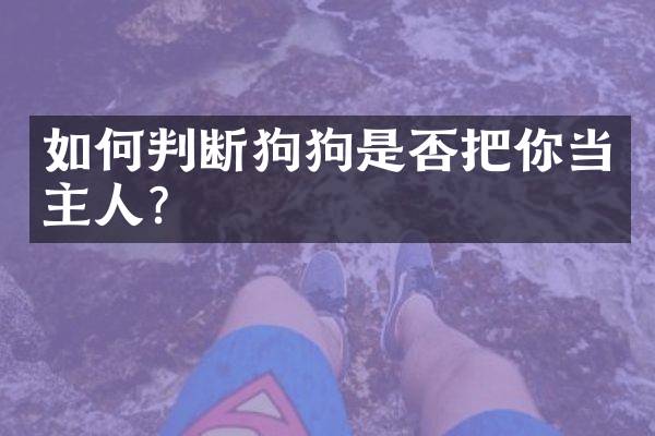 如何判断狗狗是否把你当主人？