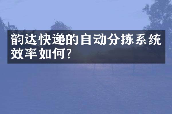 韵达快递的自动分拣系统效率如何？