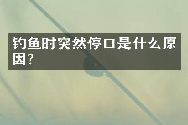 钓鱼时突然停口是什么原因？