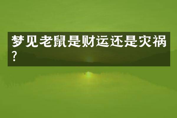 梦见老鼠是财运还是灾祸？