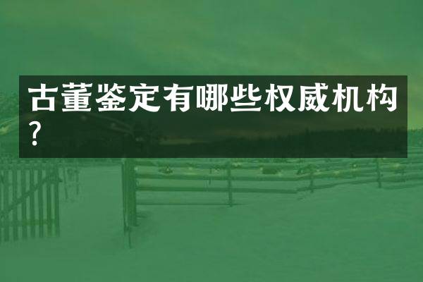 古董鉴定有哪些权威机构？