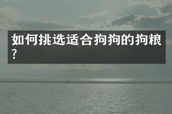 如何挑选适合狗狗的？