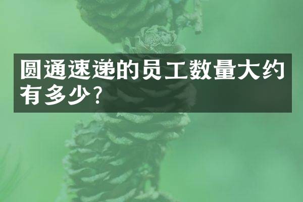 圆通速递的员工数量大约有多少？