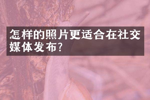 怎样的照片更适合在社交媒体发布？