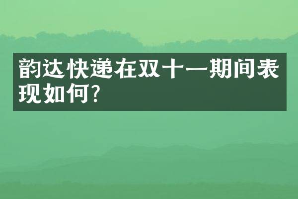 韵达快递在双十一期间表现如何？